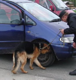 В Гомеле провели тотальную проверку автомобилистов