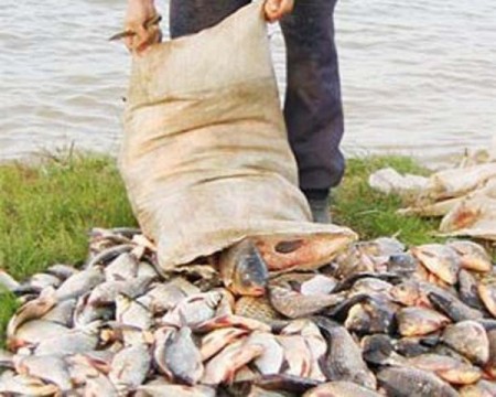 Гомельские браконьеры попались на реке Сож
