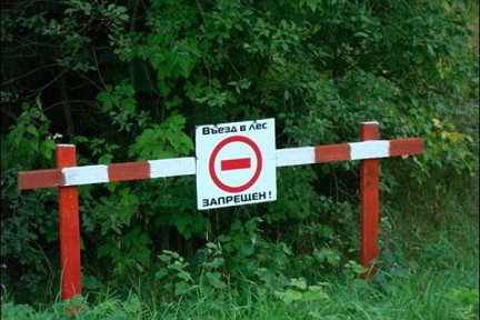 В Гомельском районе запретят посещать леса