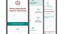 Мобильное приложение «ФСЗН». Какую информацию можно получить.