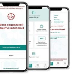 Мобильное приложение Фонда социальной защиты населения