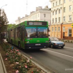 «Читающий автобус» «прокатит» гомельчан в ноябре дважды