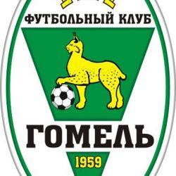 Назначен новый главный тренер ФК «Гомель»
