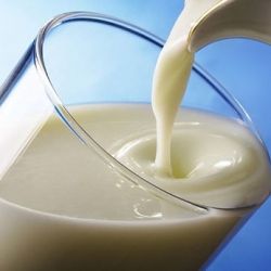 Минсельхозпрод Беларуси выбирает единого экспортера молочной продукции