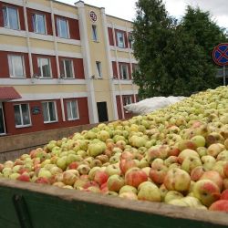 Гомельский винзавод признал себя банкротом