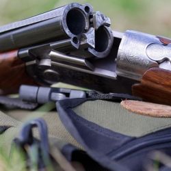 Жителя Гомельской области обманули при покупке оружия