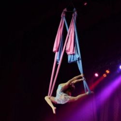 В гомельском цирке воздушная гимнастка сорвалась с высоты (видео)