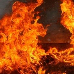 В Рогачевском районе на пожаре погиб ребенок 