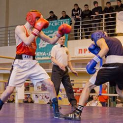 Первенство области по боксу среди юниоров завершилось в Гомеле