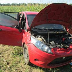 В Октябрьском районе спасатели нашли в поле обгоревший автомобиль с трупом (фото)