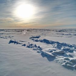 Дания хочет в два раза больше территорий в Арктике, чем раньше