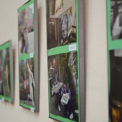 ВДОХНОВЕНИЕ: В Гомеле открыта коллективная выставка участников фотоклуба «МАКСИМУС»