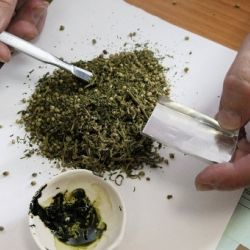 ЗА СЕБЯ И ТОГО ПАРНЯ: В Новобелице задержали с поличным двух сбытчиков марихуаны