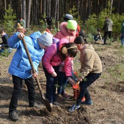 Общепионерский субботник на Гомельщине продолжит Всебелорусскую экологическую акцию «Восстановим леса Беларуси»