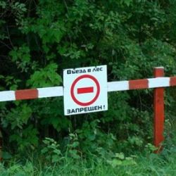 В Гомельском районе запретят посещать леса