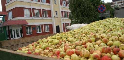 Гомельский винзавод признал себя банкротом