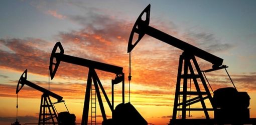 Восемь новых месторождений нефти открыли в Беларуси за последние 5 лет