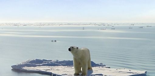 Освоение Арктики грозит всемирным потопом