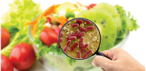 Наиболее значимые санитарно – показательные микроорганизмы в пищевых продуктах