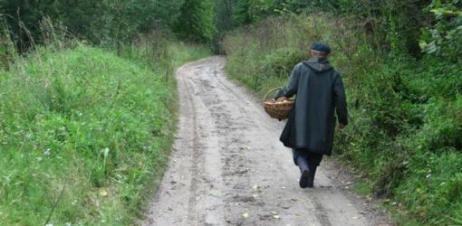 ПУТЕШЕСТВИЕ ЗАТЯНУЛОСЬ: Пропавшего в лесу пенсионера искали неделю, а он вернулся сам