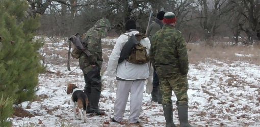 Чиновникам, охотившимся в зоне отчуждения, могут смягчить наказание