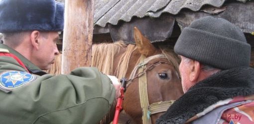 В Октябрьском районе спасатели сняли «мертвую петлю» с лошади