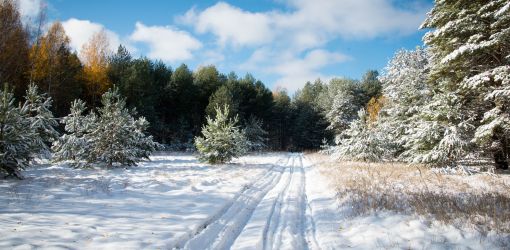 Редкий день, когда нет пострадавших на дороге