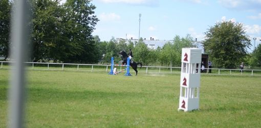 Из-под топота копыт: В Гомеле проходит открытый Кубок области по конному спорту