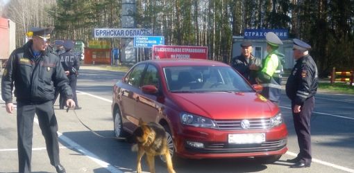 Перехват на границе: Гомельские и брянские госавтоинспекторы отработали приграничье