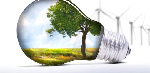 Зеленый свет: экология и здоровье