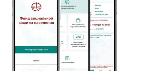 Мобильное приложение «ФСЗН». Какую информацию можно получить.