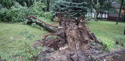 Фотофакт: разрушительный ураган в Гомеле 