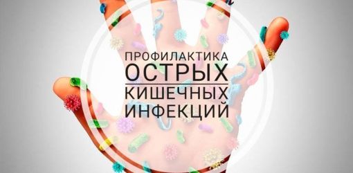 «Советы потребителю при выборе  пищевой продукции. Профилактика острых кишечных инфекций»