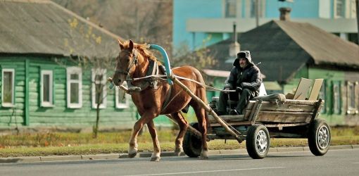 Ноу-хау: Гомельская ГАИ раздает владельцам гужевых повозок иностранные регистрационные знаки