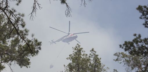 Полесье просит дождя. За сутки в стране сгорели 100 га леса 