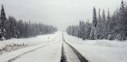 Два человека пострадали, один погиб в ДТП под Добрушем