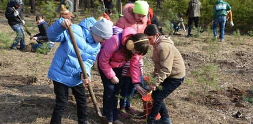 Общепионерский субботник на Гомельщине продолжит Всебелорусскую экологическую акцию «Восстановим леса Беларуси»