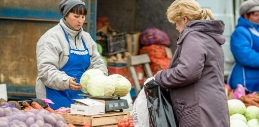 Почему в Гомеле родной огурец дороже импортной хурмы